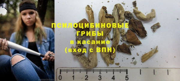 PSILOCYBIN Карпинск