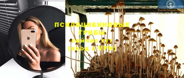 PSILOCYBIN Карпинск