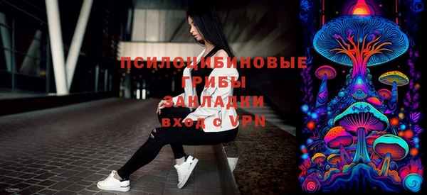 PSILOCYBIN Карпинск