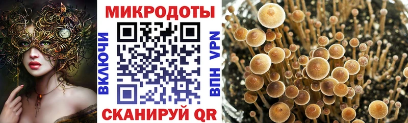 Купить Давлеканово Псилоцибиновые грибы мицелий